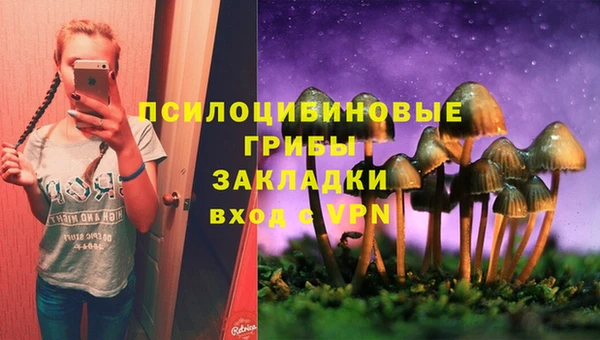 соль ск Алексин