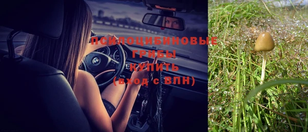ALPHA PVP Нефтекумск