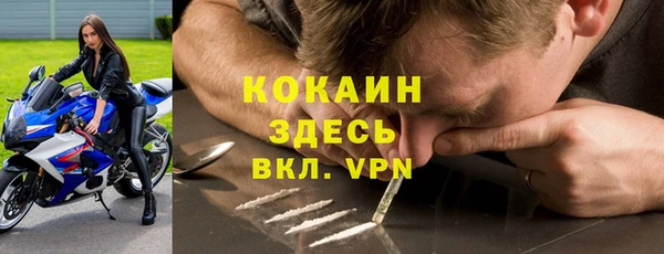 соль ск Алексин