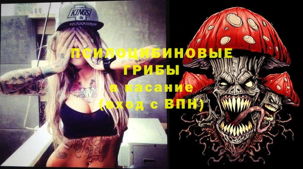 гидропоника Нефтегорск